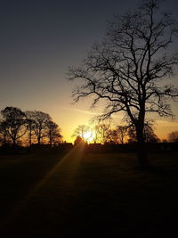 Silhouette bare trees on field against sky during sunset