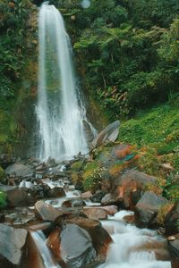 Scenic view of waterfall