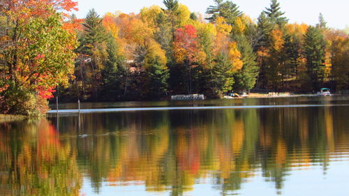 Scenic view of lake by trees during autumn