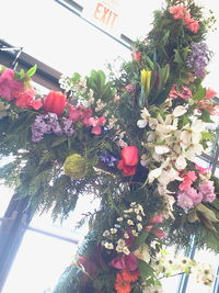 Low angle view of pink flowers