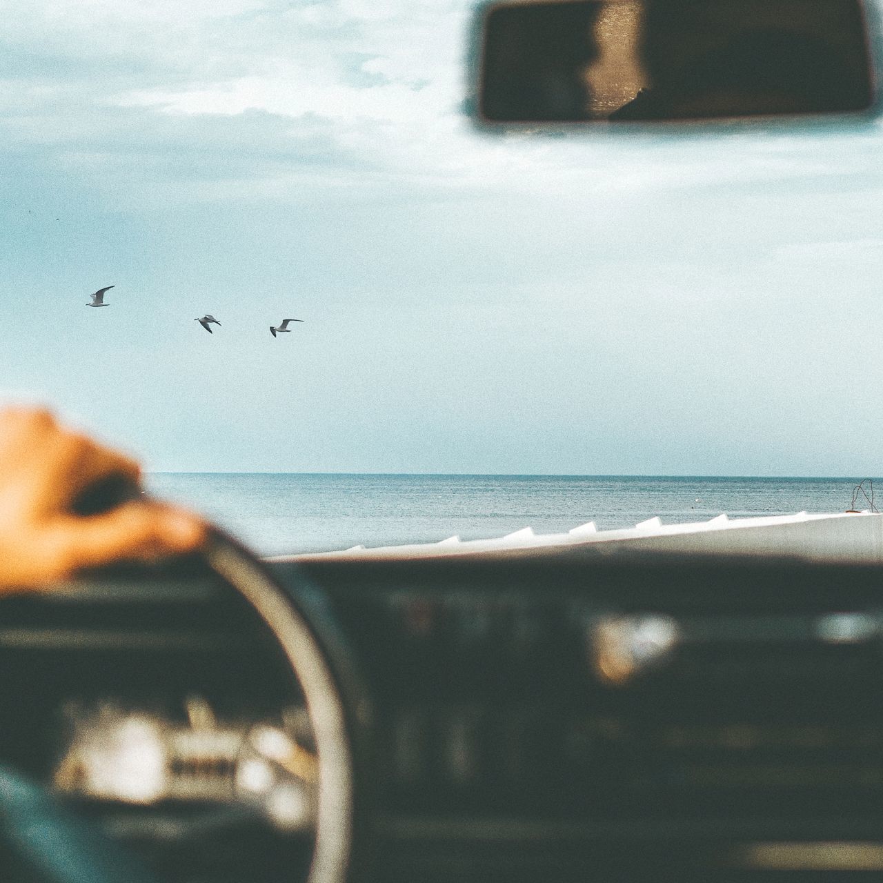 BIRD FLYING OVER SEA