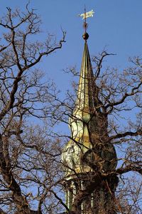 Low angle view of bare trees