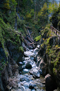 Stream flowing through rocks in forest