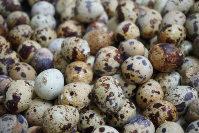 Full frame shot of quail eggs 