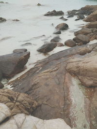 High angle view of rocks on beach