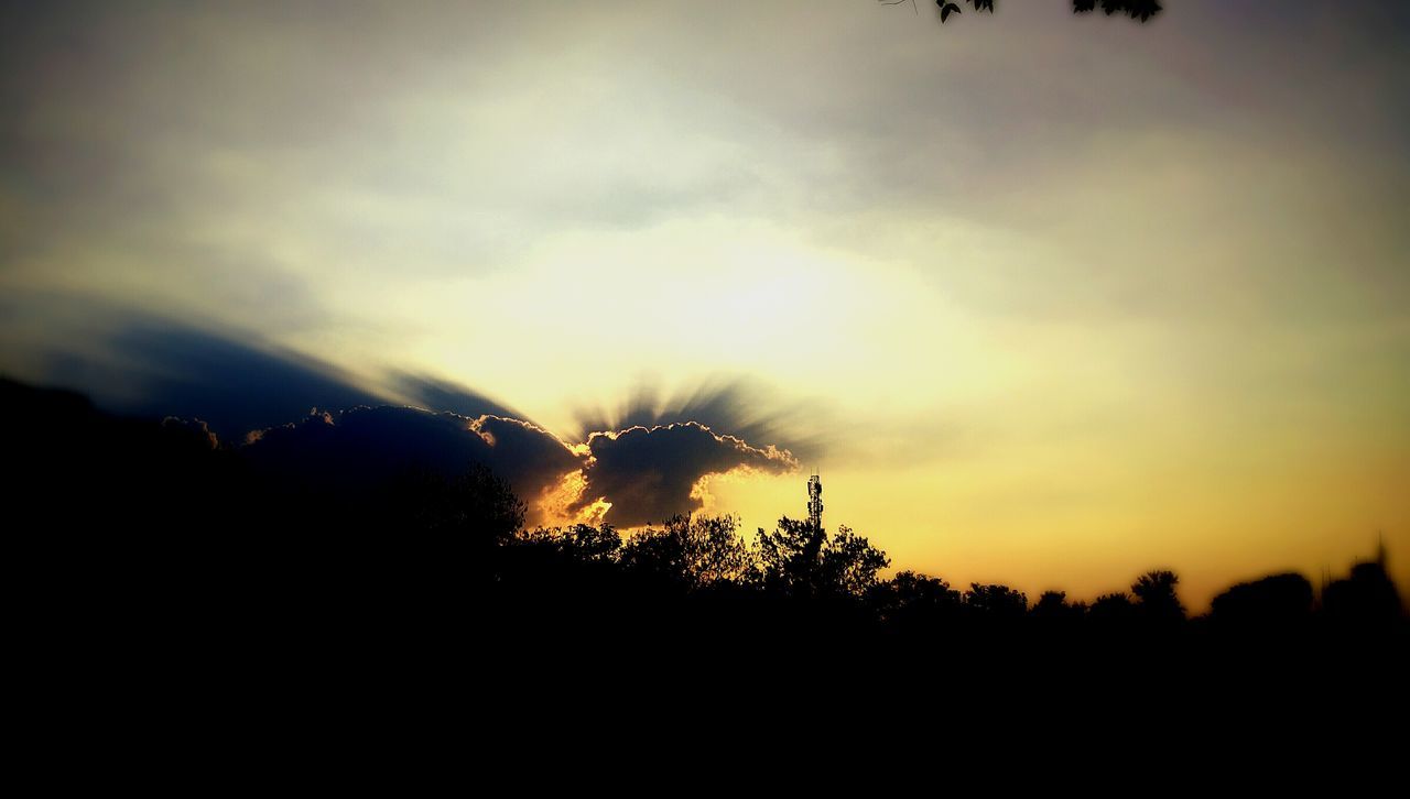 silhouette, sunset, sky, tranquil scene, beauty in nature, tranquility, scenics, tree, nature, landscape, growth, cloud - sky, idyllic, cloud, dusk, outdoors, low angle view, field, no people, outline