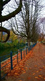 Road amidst trees during autumn