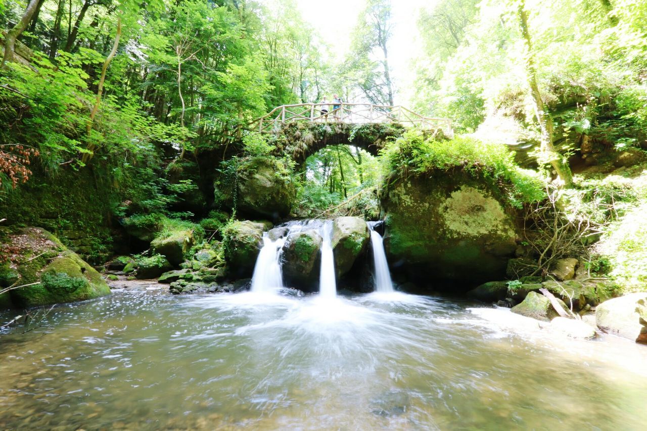 VIEW OF WATERFALL