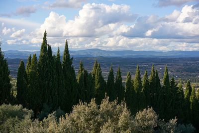 Landscape view of mountains around castelo branco seen from the castle, in portugal