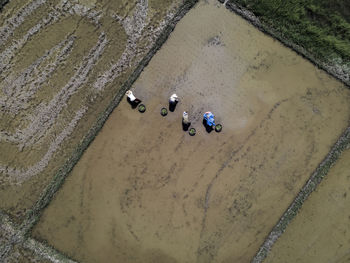 High angle view of people on beach