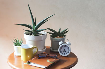 Close-up of potted plant on table at home