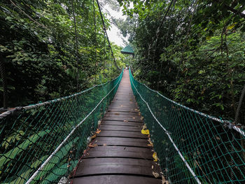 View of footbridge in forest