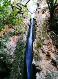 View of waterfall in forest