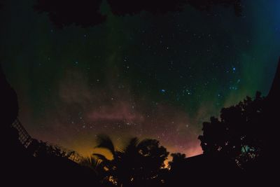 Low angle view of trees against sky at night