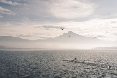 Scenic view of sea against sky