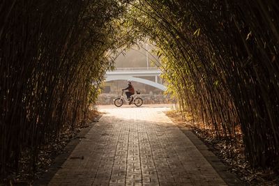 Woman riding bicycle on footpath