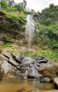 Scenic view of waterfall in forest