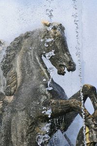 Water spraying in front of horse statue