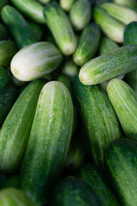 Fresh cucumbers in the market