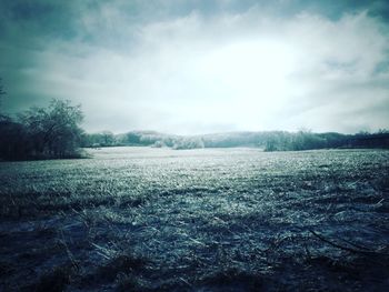 Scenic view of field against sky