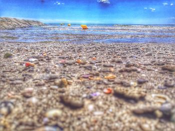 Close-up of sea shore against blue sky