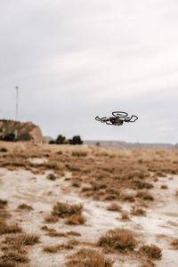 Helicopter flying over land