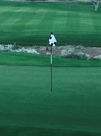 Man standing on golf course