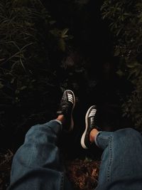 Low section of man wearing shoes in forest