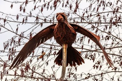 Low angle view of bird perching on branch