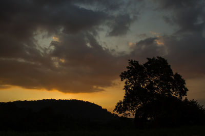 Low angle view of silhouette trees against dramatic sky