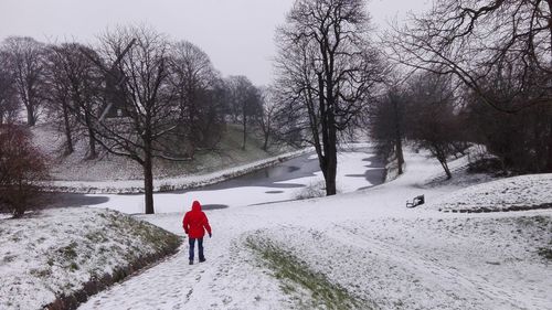 Rear view of person on snow covered land