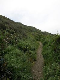 Scenic view of green landscape against sky