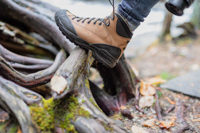 Low section of person wearing shoes on wood