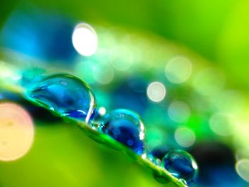 Macro shot of water drops on leaf