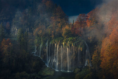 Scenic view of waterfall in forest