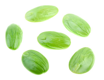 Close-up of green leaves against white background