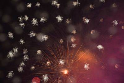Low angle view of fireworks against sky at night