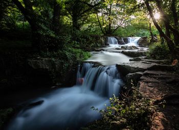 Waterfall in forest