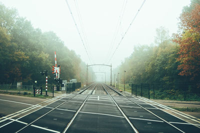 Railroad tracks amidst trees during foggy weather
