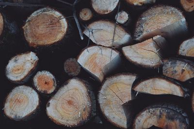 Full frame shot of logs in forest