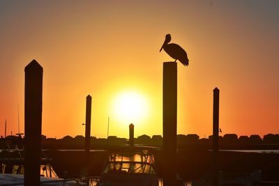 Silhouette birds on wooden post against sky during sunset