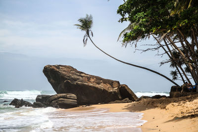 Scenic view of calm beach against sky