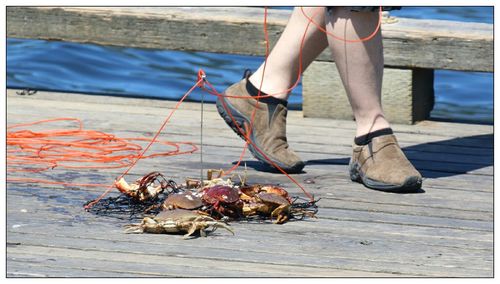 Low section of man by crabs trapped on pier