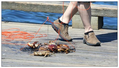 Low section of man by crabs trapped on pier