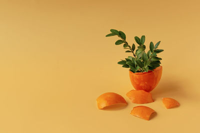 Close-up of fruit against orange background