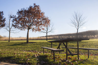 Trees on field against clear sky