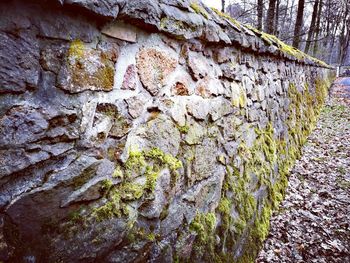 Close-up of peeled wall