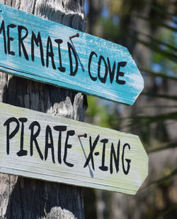 Close-up of information sign on wood