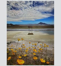 Scenic view of lake against sky