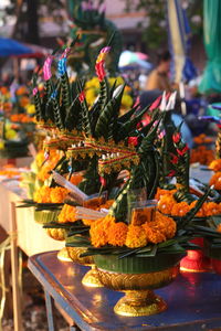 Close-up of potted plants on table at temple